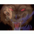 Mibu Wolf