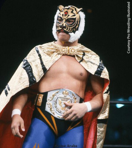 Tiger Mask