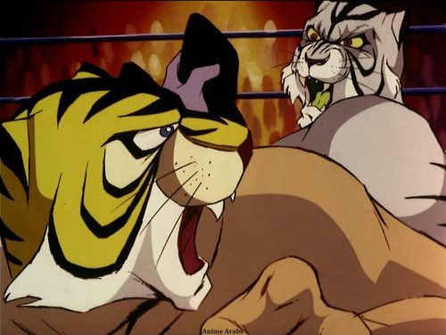 Tiger Mask