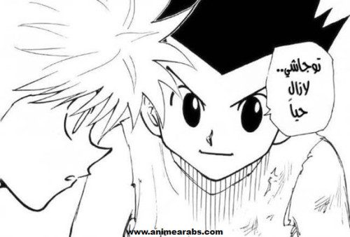 مانجا Hunter x Hunter قد تعود في 2016