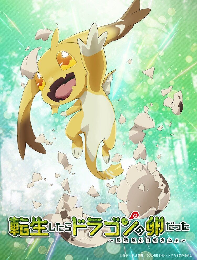 أنمي Tensei shitara Dragon قيد الإنتاج!