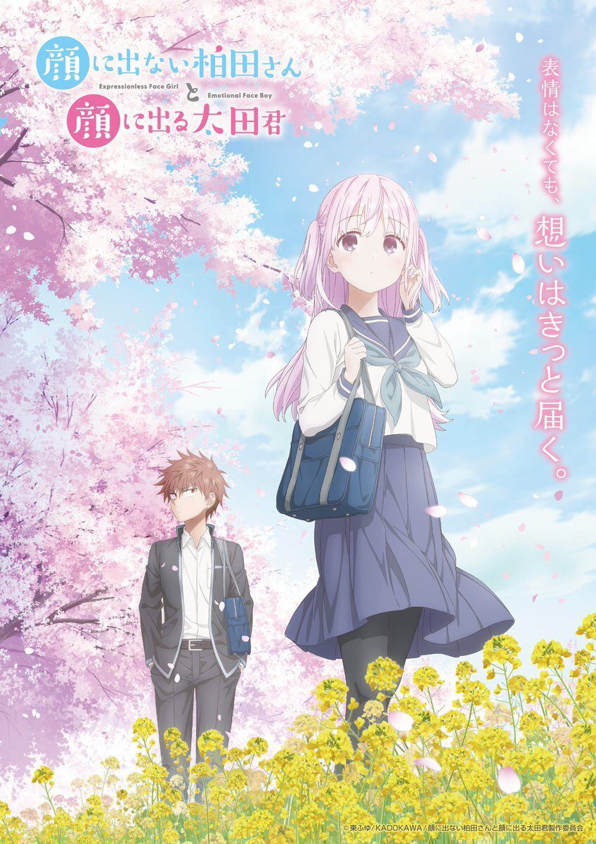 أخبار Kao ni Denai Kashiwada-san