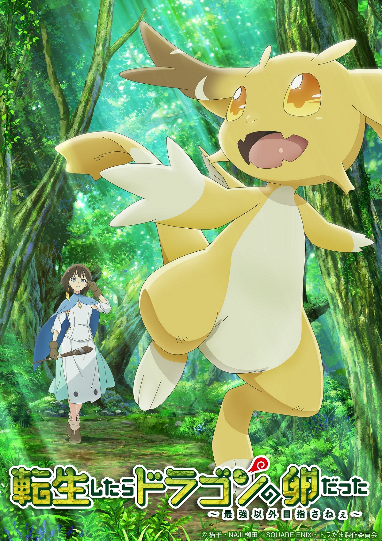Tensei shitara Dragon no Tamago datta Unveils Main Staff Teaser Promo for 2026